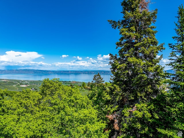 374 Cold Springs Dr, Fish Haven, ID 83287