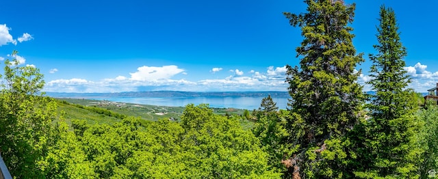 374 Cold Springs Dr, Fish Haven, ID 83287
