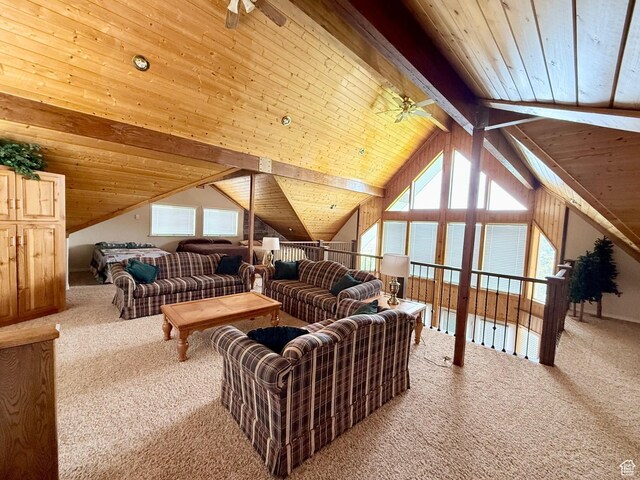 374 Cold Springs Dr, Fish Haven, ID 83287 - photo 33