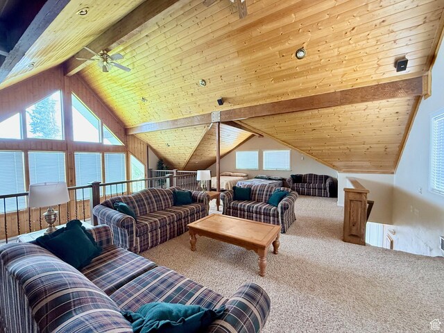 374 Cold Springs Dr, Fish Haven, ID 83287 - photo 32