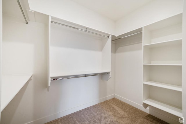 6068 S White Trails Dr, St George, UT 84790 - walk in closet featuring light colored carpet