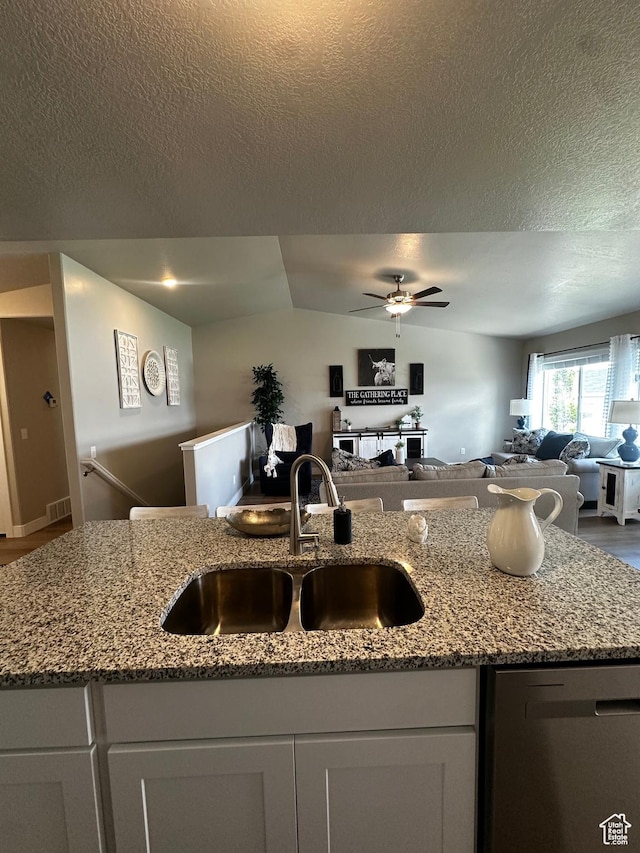 1179 W W Rocky Way Unit 618, Grantsville, UT 84029 - kitchen with stainless steel dishwasher, open floor plan, a sink, ceiling fan, and a textured ceiling
