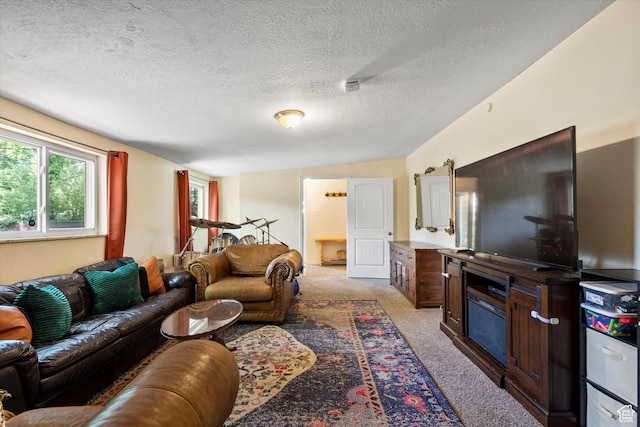 1225 E 5th St, Ogden, UT 84404 - living room featuring light carpet and a textured ceiling