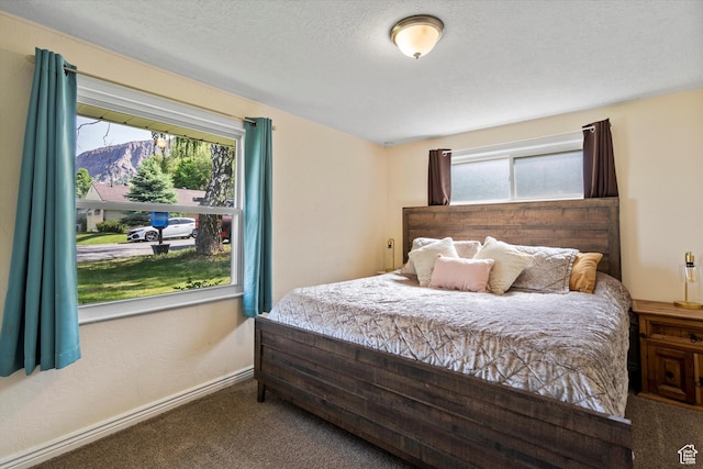 1225 E 5th St, Ogden, UT 84404 - bedroom featuring carpet flooring, multiple windows, baseboards, and a mountain view