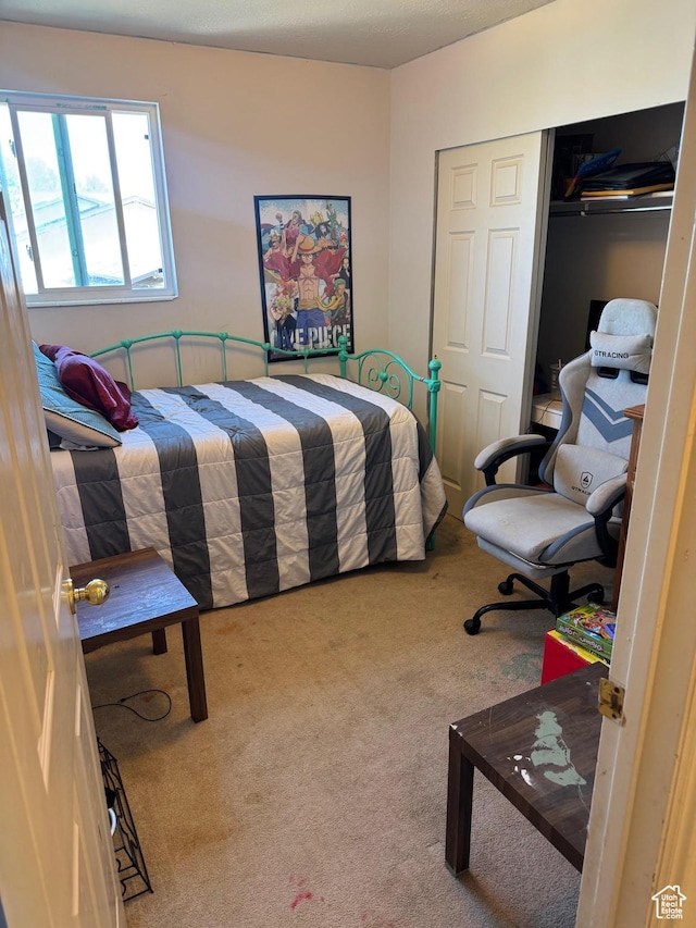 39 S 1300 W, Clearfield, UT 84015 - bedroom featuring carpet and a closet