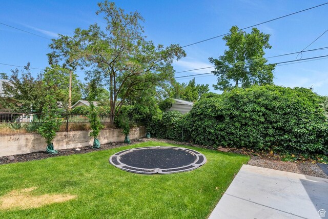 1440 E 1300 S, Salt Lake City, UT 84105 - view of yard featuring a trampoline