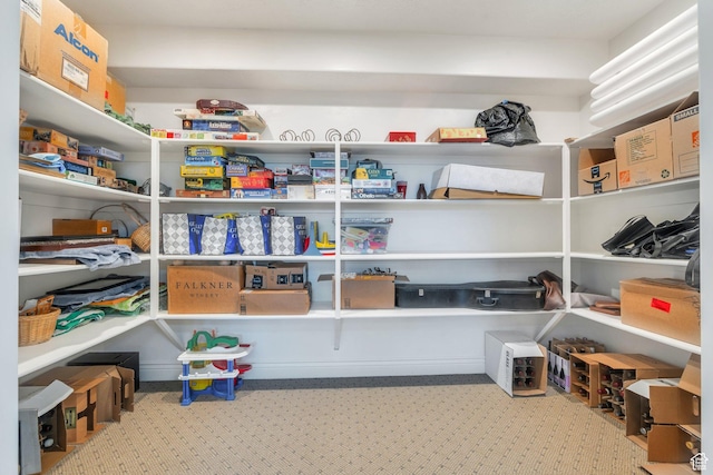 1736 S Range Rd, Saratoga Springs, UT 84045 - view of storage