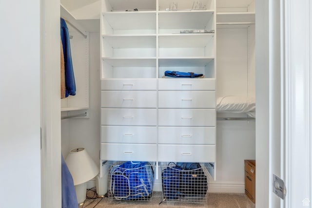 1736 S Range Rd, Saratoga Springs, UT 84045 - view of walk in closet