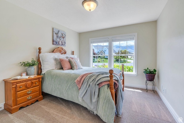 1736 S Range Rd, Saratoga Springs, UT 84045 - bedroom featuring carpet floors and baseboards