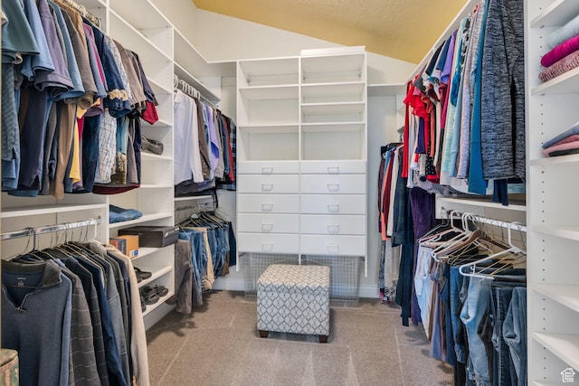 1736 S Range Rd, Saratoga Springs, UT 84045 - walk in closet with carpet floors