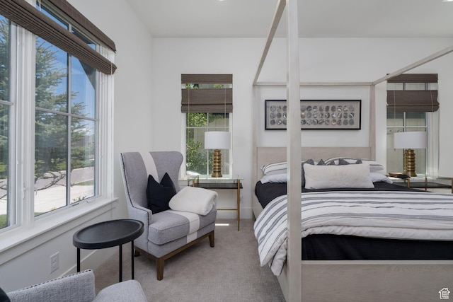 517 N Farm Hill Ln, Midway, UT 84049 - carpeted bedroom with multiple windows and baseboards