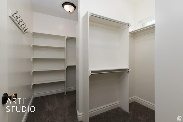 2188 E Tuscany Creek Way S, Draper, UT 84020 - walk in closet featuring dark colored carpet