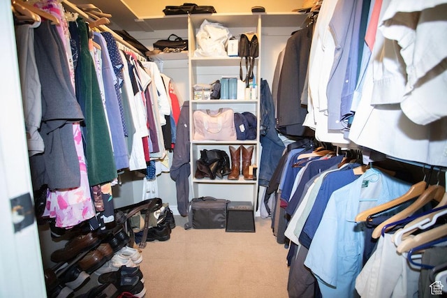 3234 N 550 W, Pleasant View, UT 84414 - spacious closet featuring carpet