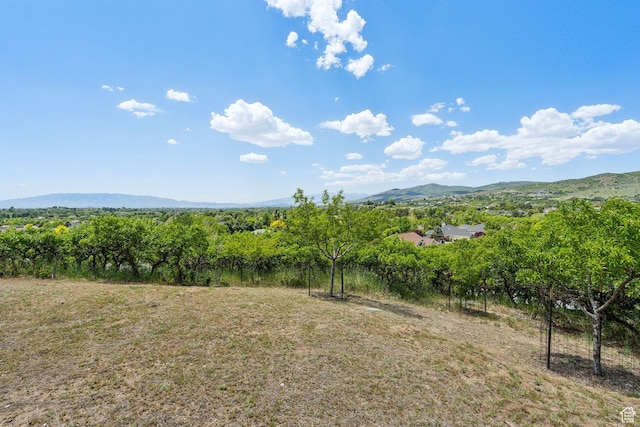870 E Quail Hollow Cir, Alpine, UT 84004 - view of mountain background