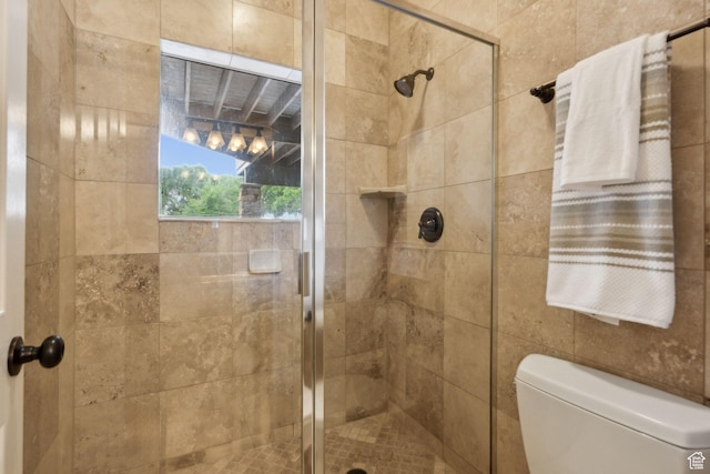 870 E Quail Hollow Cir, Alpine, UT 84004 - bathroom featuring a shower stall and toilet