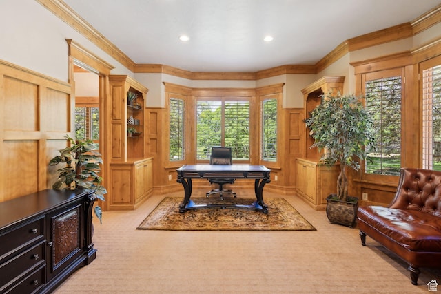 870 E Quail Hollow Cir, Alpine, UT 84004 - office space featuring a decorative wall, light carpet, crown molding, recessed lighting, and a wainscoted wall