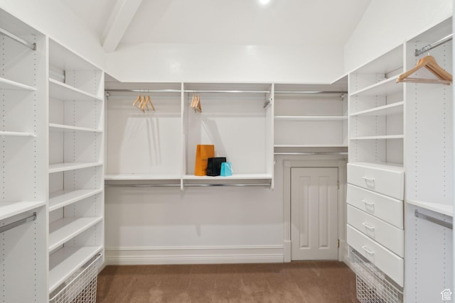 870 E Quail Hollow Cir, Alpine, UT 84004 - spacious closet featuring carpet flooring