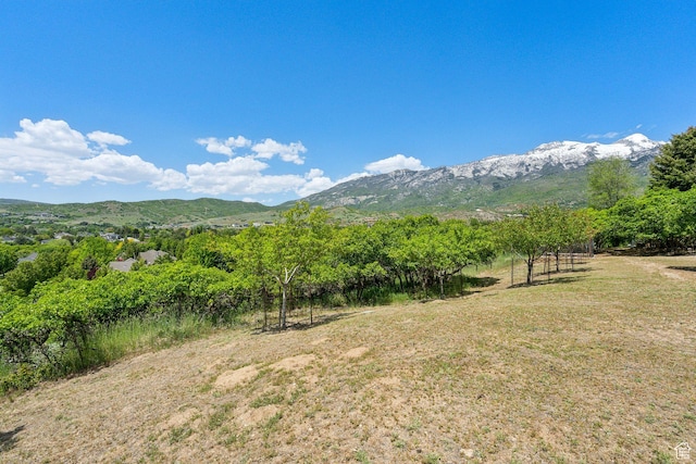 870 E Quail Hollow Cir, Alpine, UT 84004 - view of mountain background