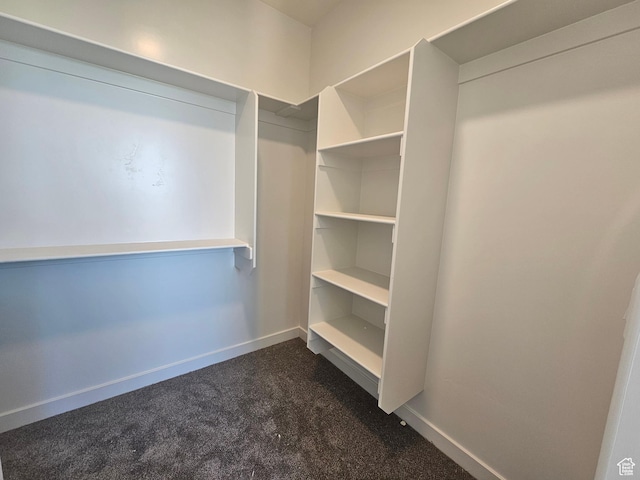 3197 N 2875 W Unit 35, Plain City, UT 84404 - spacious closet featuring dark carpet