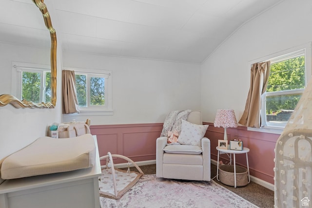 1250 E Center St, Springville, UT 84663 - bedroom with vaulted ceiling, wainscoting, and carpet flooring
