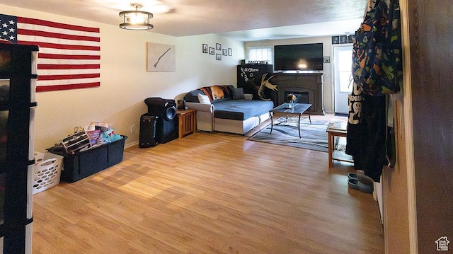 966 Mckinley Ave Unit B, Pocatello, ID 83201 - living room with wood finished floors and a fireplace