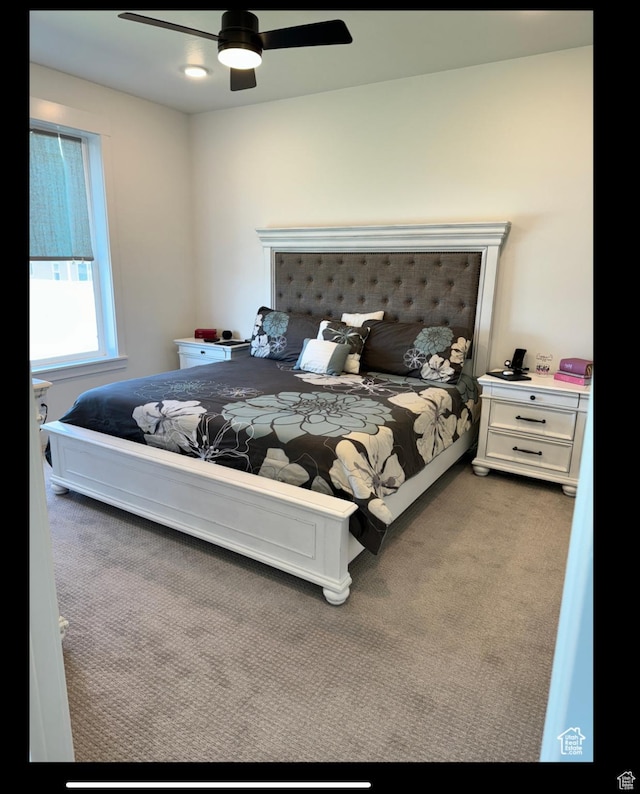 653 S 340 E, Smithfield, UT 84335 - carpeted bedroom with ceiling fan