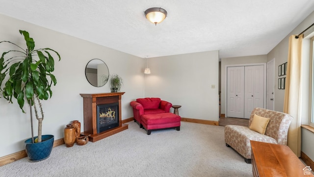 1253 Nathaniel Dr E, Pleasant Grove, UT 84062 - living area with carpet floors, baseboards, and a glass covered fireplace