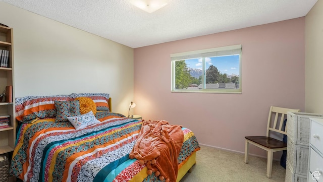 1253 Nathaniel Dr E, Pleasant Grove, UT 84062 - carpeted bedroom with a textured ceiling and baseboards