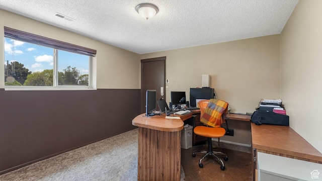 1253 Nathaniel Dr E, Pleasant Grove, UT 84062 - carpeted office space featuring a textured ceiling