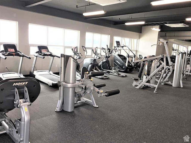 2869 W Chestnut St, Lehi, UT 84043 - view of exercise room