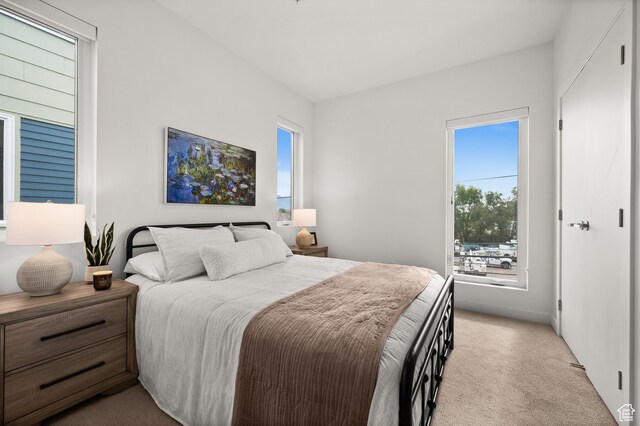 1034 W 1700 S Unit 121, Salt Lake City, UT 84104 - bedroom featuring multiple windows and light carpet