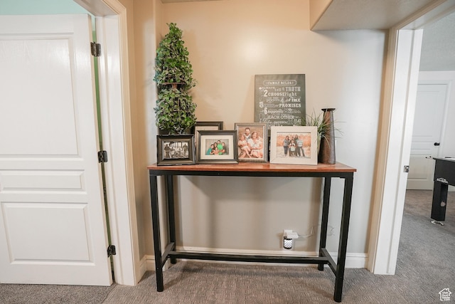 1901 S 1375 W, Syracuse, UT 84075 - detailed view of carpet floors and baseboards