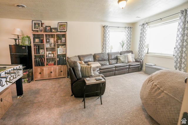1901 S 1375 W, Syracuse, UT 84075 - carpeted living room with a textured ceiling