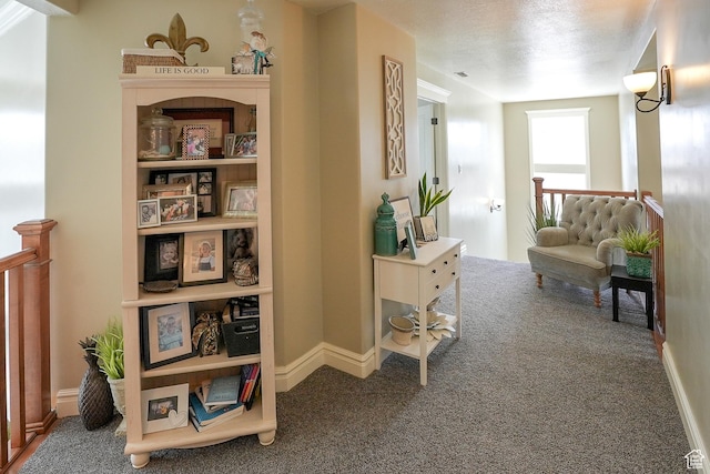 1901 S 1375 W, Syracuse, UT 84075 - hall with carpet floors