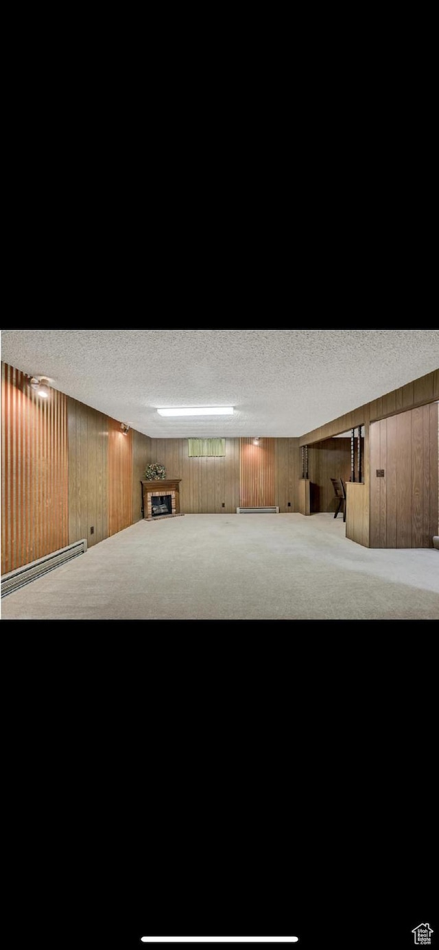 5540 S 850 E Unit 38, South Ogden, UT 84405 - finished below grade area with a textured ceiling, carpet floors, baseboard heating, wooden walls, and a fireplace