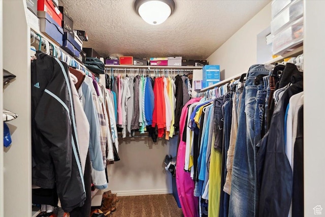 320 E 4600 S, Washington Terrace, UT 84405 - walk in closet with carpet