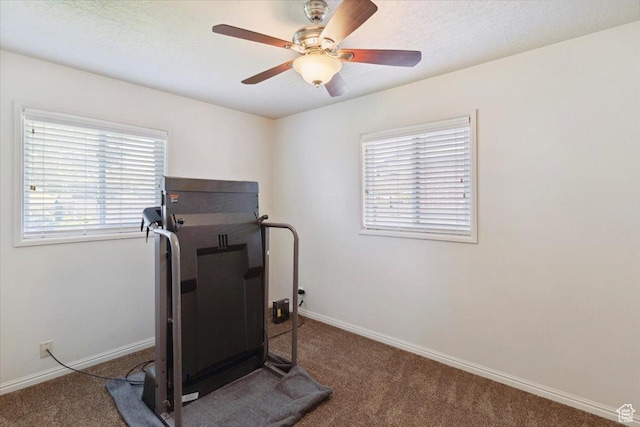 320 E 4600 S, Washington Terrace, UT 84405 - workout area featuring carpet, healthy amount of natural light, baseboards, and a ceiling fan