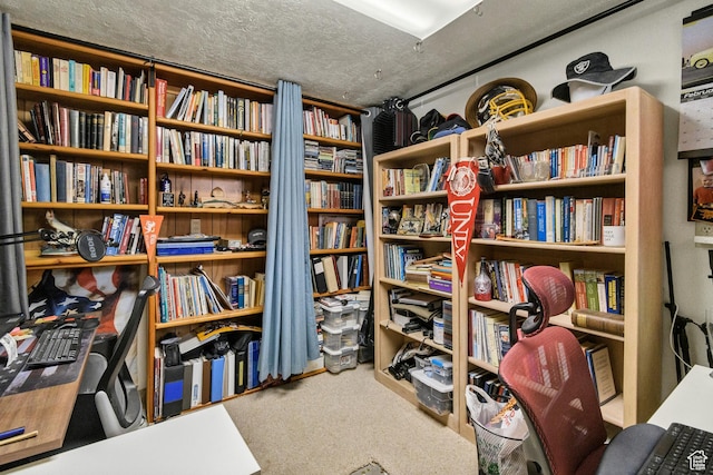 155 S 200 W, Gunnison, UT 84634 - view of storage room