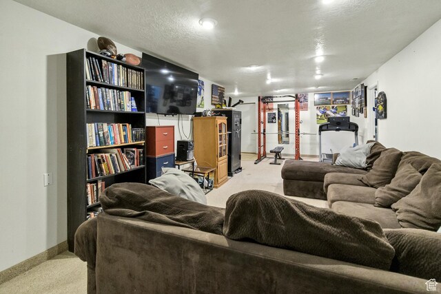 155 S 200 W, Gunnison, UT 84634 - living area with light colored carpet and baseboards