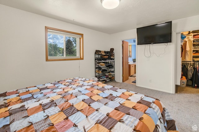 155 S 200 W, Gunnison, UT 84634 - bedroom with a walk in closet, a closet, light colored carpet, and ensuite bath