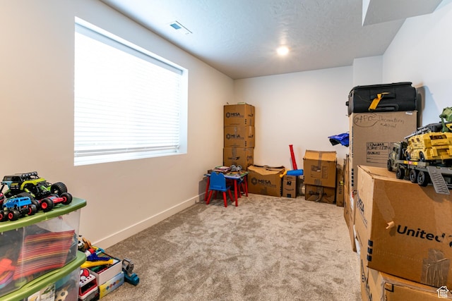 849 N Evelyn St W, Farmington, UT 84025 - view of storage room