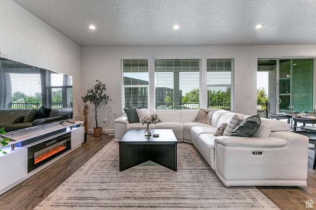 849 N Evelyn St W, Farmington, UT 84025 - living room featuring wood finished floors, a textured ceiling, recessed lighting, baseboards, and a glass covered fireplace