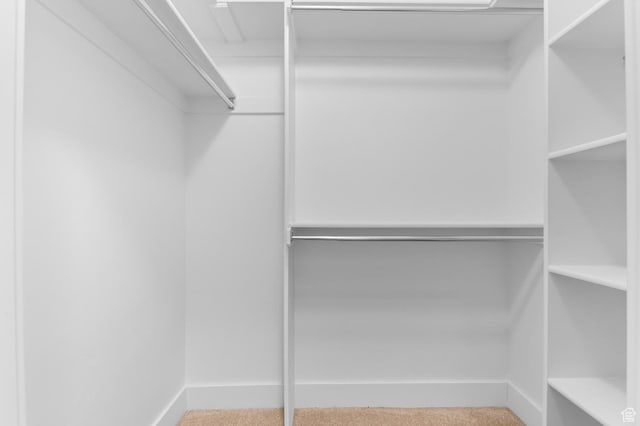 4908 W Duckhorn Dr, South Jordan, UT 84009 - walk in closet with carpet