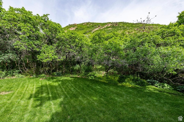 3021 E Shakespeare Pl, Salt Lake City, UT 84108 - photo 44