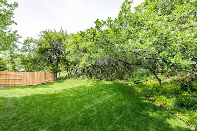 3021 E Shakespeare Pl, Salt Lake City, UT 84108 - photo 42