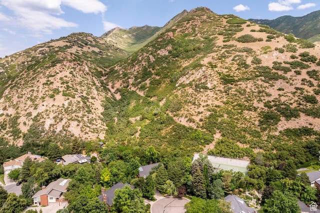 3021 E Shakespeare Pl, Salt Lake City, UT 84108 - photo 49