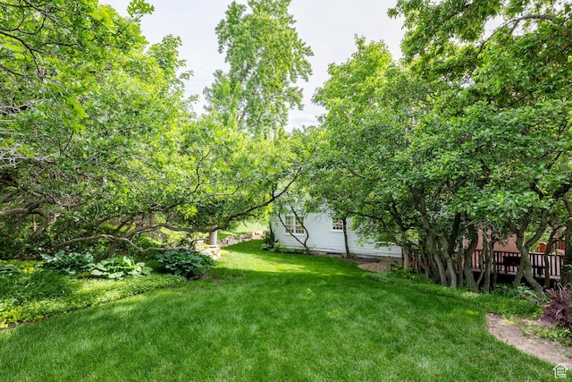 3021 E Shakespeare Pl, Salt Lake City, UT 84108 - photo 43