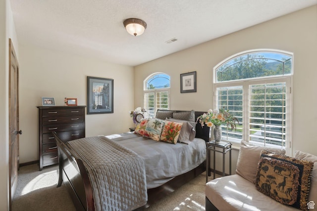 13302 S Corner Wood Dr E, Draper, UT 84020 - view of carpeted bedroom
