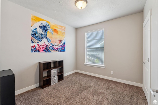 1128 S 820 E Unit 3301, Heber City, UT 84032 - unfurnished room with carpet floors, baseboards, and a textured ceiling