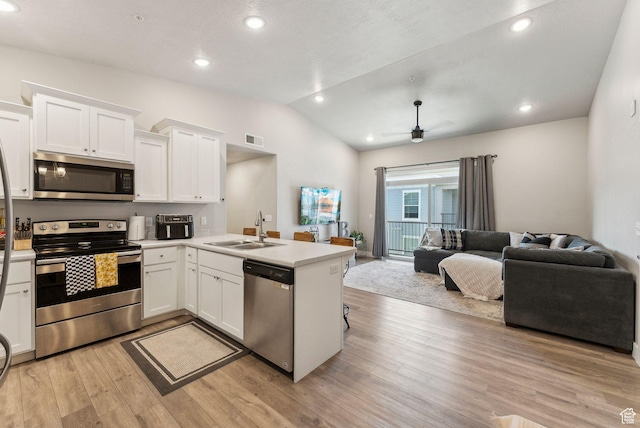 1128 S 820 E Unit 3301, Heber City, UT 84032 - kitchen featuring appliances with stainless steel finishes, a sink, open floor plan, lofted ceiling, and ceiling fan